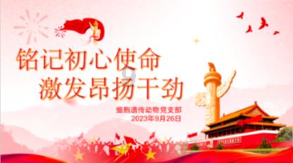 【组图】春节临近 民勤羊肉成为最热销年货